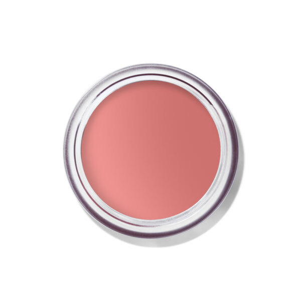 Bobbi Brown Pot Rouge Velvet Matte Creme Blush