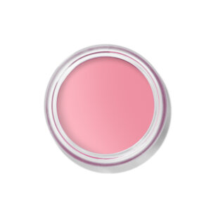 Bobbi Brown Pot Rouge Velvet Matte Creme Blush