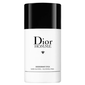 Dior Homme Deostick