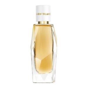 Mont Blanc Signature Absolue EDP