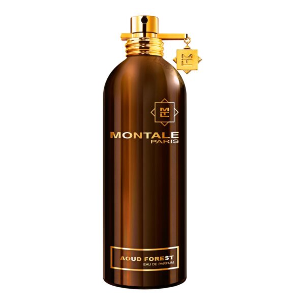 Montale Paris Aoud Forest EDP