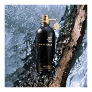 Montale Paris Oudyssee EDP