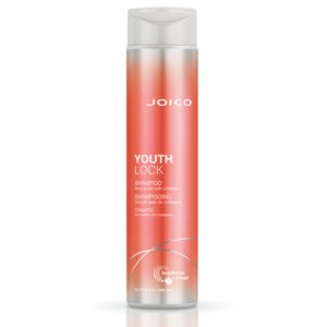 Joico Youth Lock Shampoo