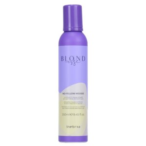 Inebrya BLONDESSE No-Yellow Conditioner (blonde, bleached, gray hair)