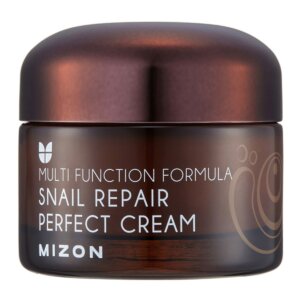 Mizon Face cream with snail secretion filtrate 60% for problematic skin (Snail Repair Perfect Cream) 50 ml