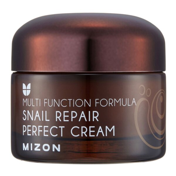 Mizon Face cream with snail secretion filtrate 60% for problematic skin (Snail Repair Perfect Cream) 50 ml