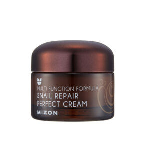 Mizon Face cream with snail secretion filtrate 60% for problematic skin (Snail Repair Perfect Cream) 50 ml