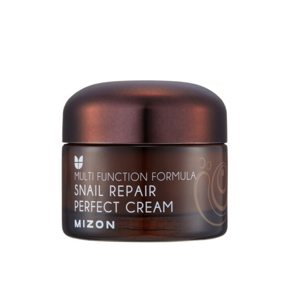 Mizon Face cream with snail secretion filtrate 60% for problematic skin (Snail Repair Perfect Cream) 50 ml
