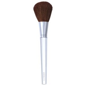 Clinique Powder Brush meigipintsel – pilt 2