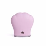 Skin Cleansing Brush 1