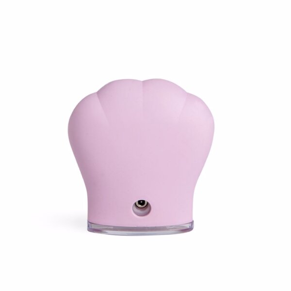 SKIN cleansing brush 1 u Skin Cleansing Brush 1