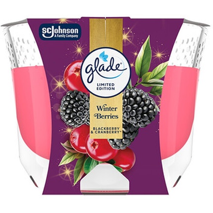 Winter Berries Candle 204 g