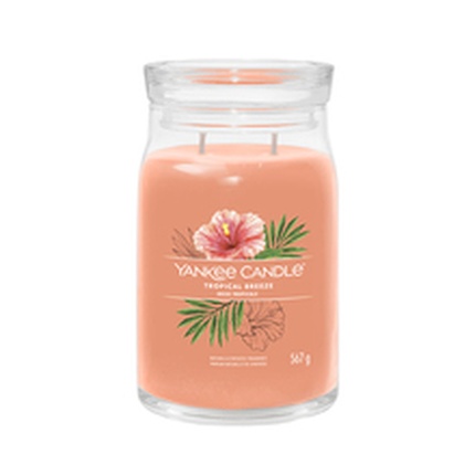 Tropical Breeze Signature Candle 567 g