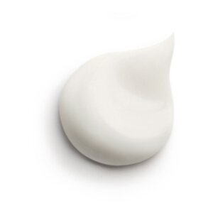 Sisley ECOLOGICAL EMULSION day and night 60 ml
