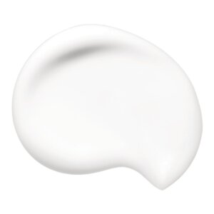 Shiseido Synchro Skin Soft Blurring Primer 30 ml