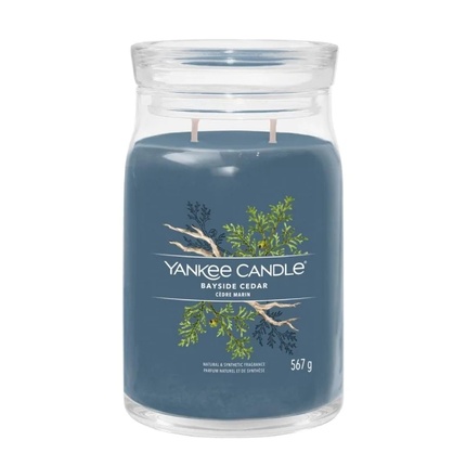 Bayside Cedar Signature Candle 567 g