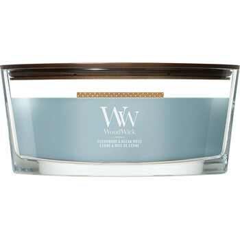 WoodWick Cedarwood & Ocean Moss lõhnaküünal 453,6 g