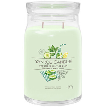 Cucumber Mint Cooler Signature Candle (cucumber mint lemonade) 110 g