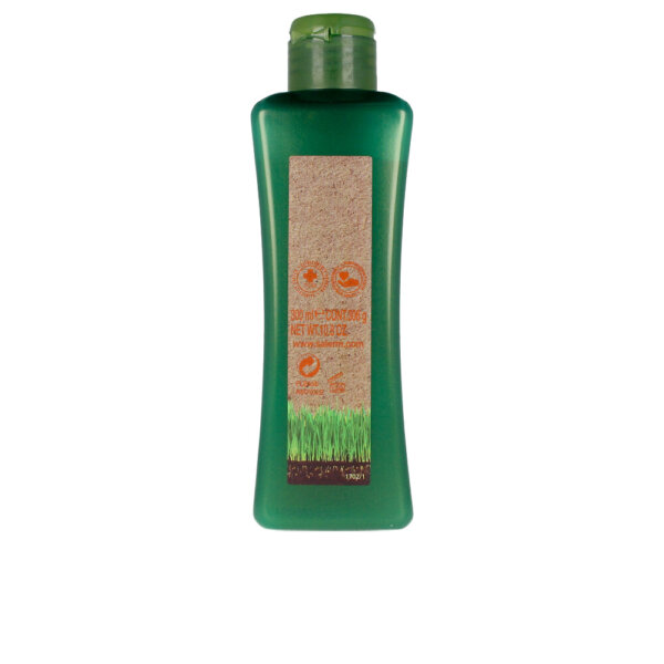 Salerm Biokera Natura Treated Hair šampoon